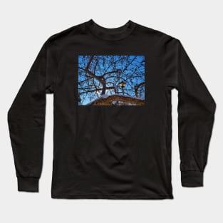 Lamp Post in the Trees Long Sleeve T-Shirt